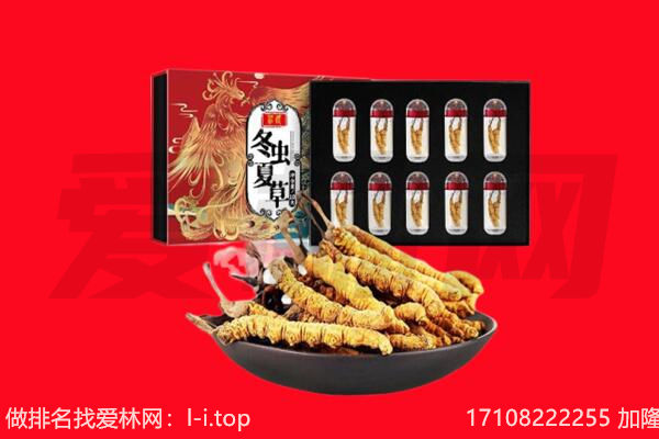 泸州市叙永回收虫草.jpg